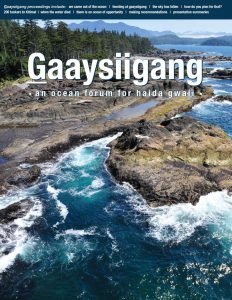 gaaysiigang-cover