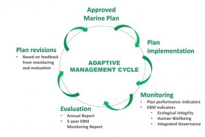 adaptive-managment-cycle